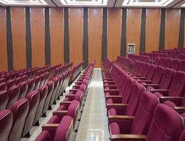 江西新余第十六中學(xué)禮堂椅系列